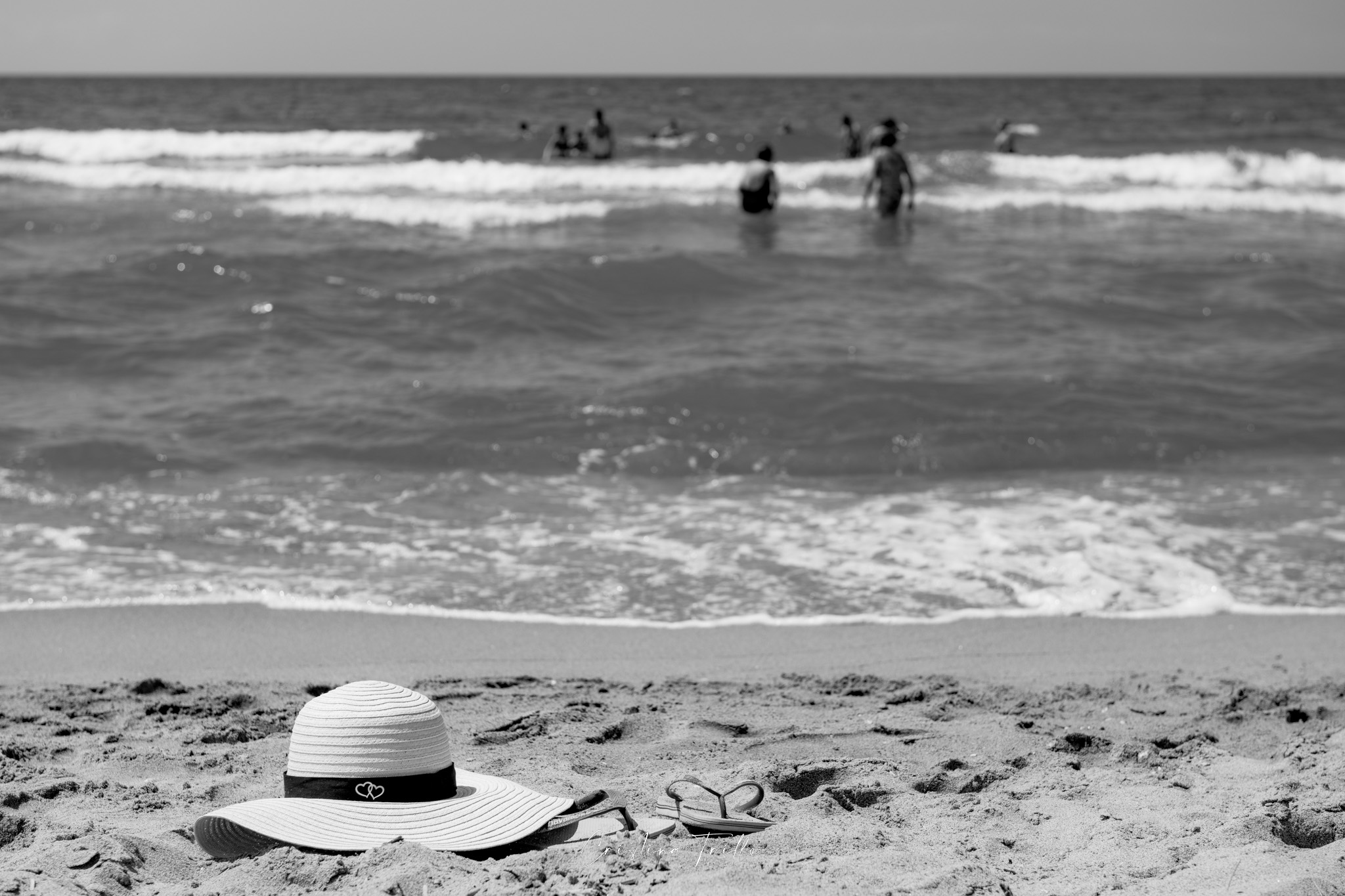 20240802-DSC_1017